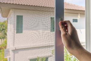 Dove trovare le zanzariere online?